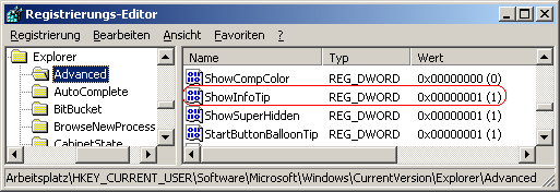 ShowInfoTip