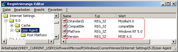 User Agent