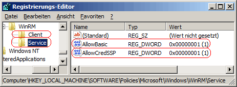 AllowBasic, AllowCredSSP