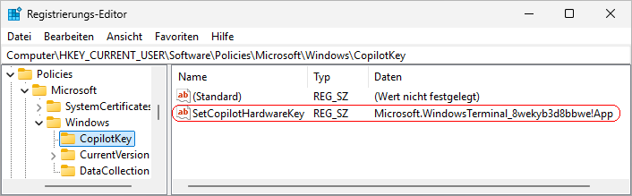 SetCopilotHardwareKey
