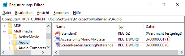 AccessibilityMonoMixState